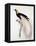 Greater Bird of Paradise, Male-Jacques Barraband-Framed Premier Image Canvas