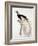 Greater Bird of Paradise, Male-Jacques Barraband-Framed Giclee Print