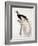 Greater Bird of Paradise, Male-Jacques Barraband-Framed Giclee Print