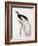 Greater Bird of Paradise, Male-Jacques Barraband-Framed Giclee Print