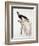 Greater Bird of Paradise, Male-Jacques Barraband-Framed Giclee Print