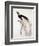 Greater Bird of Paradise, Male-Jacques Barraband-Framed Giclee Print