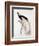 Greater Bird of Paradise, Male-Jacques Barraband-Framed Giclee Print