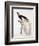 Greater Bird of Paradise, Male-Jacques Barraband-Framed Giclee Print