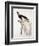 Greater Bird of Paradise, Male-Jacques Barraband-Framed Giclee Print