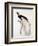 Greater Bird of Paradise, Male-Jacques Barraband-Framed Giclee Print