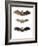 Greater False Vampire Bat, 1860-null-Framed Giclee Print