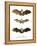 Greater False Vampire Bat, 1860-null-Framed Premier Image Canvas