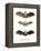 Greater False Vampire Bat, 1860-null-Framed Premier Image Canvas