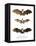 Greater False Vampire Bat, 1860-null-Framed Premier Image Canvas