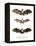 Greater False Vampire Bat, 1860-null-Framed Premier Image Canvas