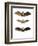 Greater False Vampire Bat, 1860-null-Framed Giclee Print