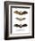 Greater False Vampire Bat, 1860-null-Framed Giclee Print