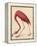 Greater Flamingo, 1838-John James Audubon-Framed Premier Image Canvas