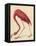 Greater Flamingo, 1838-John James Audubon-Framed Premier Image Canvas