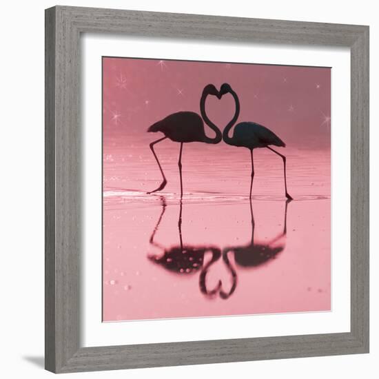 Greater Flamingo Pair Kissing-null-Framed Photographic Print