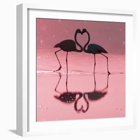 Greater Flamingo Pair Kissing-null-Framed Photographic Print