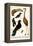 Greater Flamingo, Pigeons, Doves and Kingfishers-Albertus Seba-Framed Stretched Canvas
