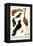 Greater Flamingo, Pigeons, Doves and Kingfishers-Albertus Seba-Framed Stretched Canvas