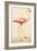 Greater Flamingo-John White-Framed Premium Giclee Print