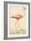 Greater Flamingo-John White-Framed Premium Giclee Print