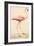 Greater Flamingo-John White-Framed Premium Giclee Print