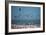 Greater Flamingos in Flight Near Walvis Bay, Namibia-Alex Saberi-Framed Photographic Print