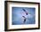 Greater Flamingos-Xavier Ortega-Framed Photographic Print