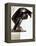 Greater Horse, 1914-Marcel Duchamp-Framed Premier Image Canvas