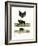 Greater Horseshoe Bat-null-Framed Giclee Print