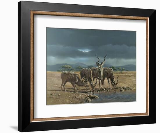 Greater Kudus-Harro Maass-Framed Giclee Print