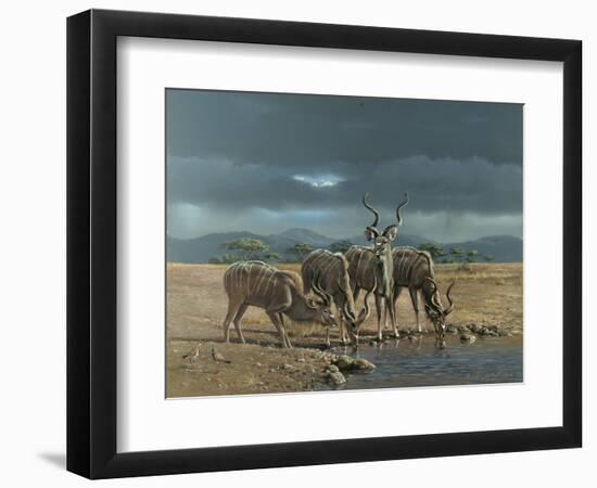 Greater Kudus-Harro Maass-Framed Giclee Print