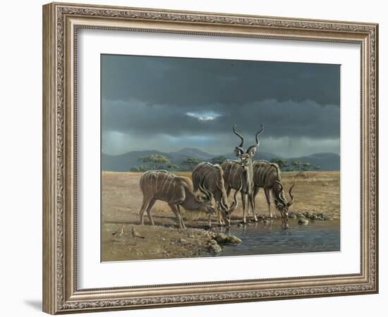 Greater Kudus-Harro Maass-Framed Giclee Print