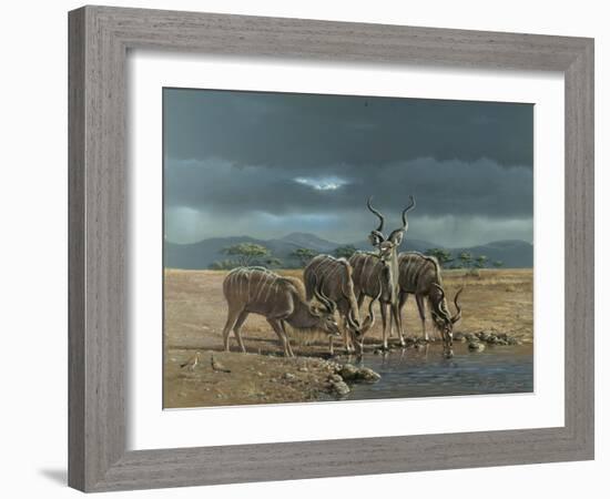 Greater Kudus-Harro Maass-Framed Giclee Print