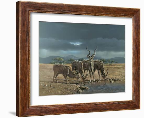 Greater Kudus-Harro Maass-Framed Giclee Print