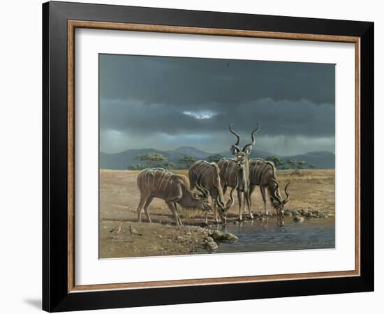 Greater Kudus-Harro Maass-Framed Giclee Print