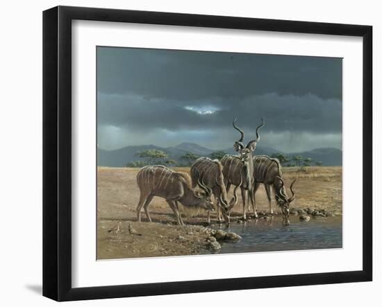 Greater Kudus-Harro Maass-Framed Giclee Print