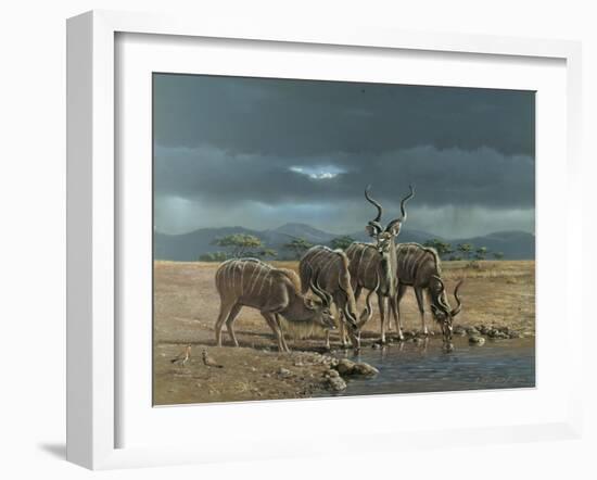 Greater Kudus-Harro Maass-Framed Giclee Print