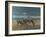 Greater Kudus-Harro Maass-Framed Giclee Print