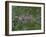 Greater London, Satellite Image-PLANETOBSERVER-Framed Photographic Print