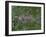 Greater London, Satellite Image-PLANETOBSERVER-Framed Photographic Print