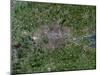 Greater London, Satellite Image-PLANETOBSERVER-Mounted Photographic Print