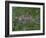 Greater London, Satellite Image-PLANETOBSERVER-Framed Photographic Print