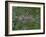 Greater London, Satellite Image-PLANETOBSERVER-Framed Photographic Print