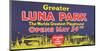 Greater Luna Park Opening-null-Mounted Art Print