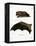 Greater Noctule Bat-null-Framed Premier Image Canvas