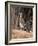 Greater Roadrunner, New Mexico-Elizabeth DeLaney-Framed Photographic Print