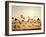 Greater White-Fronted Goose, Arctic National Wildlife Refuge, Brooks Range, Alaska, USA-Steve Kazlowski-Framed Photographic Print