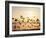 Greater White-Fronted Goose, Arctic National Wildlife Refuge, Brooks Range, Alaska, USA-Steve Kazlowski-Framed Photographic Print