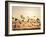 Greater White-Fronted Goose, Arctic National Wildlife Refuge, Brooks Range, Alaska, USA-Steve Kazlowski-Framed Photographic Print